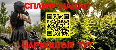 гидра Можайск