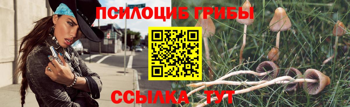 Псилоцибиновые грибы мицелий  Галлюциногенные грибы Magic Shrooms  Вход с VPN  Сорочинск 